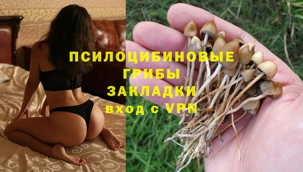 кокс Иннополис