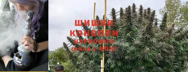спайс Инсар